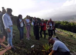 Parceiros de projeto de cooperação inter-regional encerram encontro nos Açores com plantação de endémicas