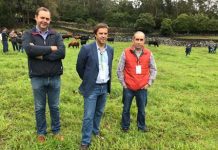 Governo dos Açores enaltece papel dos produtores e das respetivas associações no desenvolvimento da fileira da carne