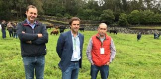 Governo dos Açores enaltece papel dos produtores e das respetivas associações no desenvolvimento da fileira da carne