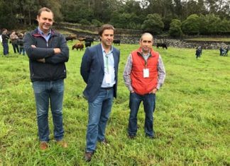 Governo dos Açores enaltece papel dos produtores e das respetivas associações no desenvolvimento da fileira da carne