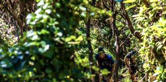 Trail Run – 230 atletas participam na V edição da Triangle Adventure