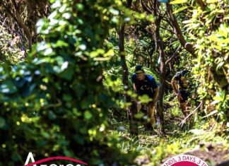 Trail Run – 230 atletas participam na V edição da Triangle Adventure