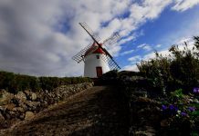 Trail Run – Taça de Portugal 2019 disputa-se na Graciosa Azores Trail Run® - Windmills Trail é o primeiro evento de trail organizado na Graciosa