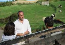 Aposta na qualidade é um dos caminhos para a valorização da carne de bovino dos Açores, afirma João Ponte