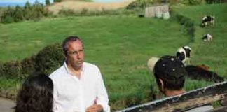 Aposta na qualidade é um dos caminhos para a valorização da carne de bovino dos Açores, afirma João Ponte