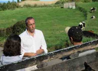 Aposta na qualidade é um dos caminhos para a valorização da carne de bovino dos Açores, afirma João Ponte