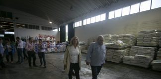 Governo do PS vai continuar a defender os produtores de leite dos Açores