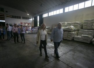 Governo do PS vai continuar a defender os produtores de leite dos Açores