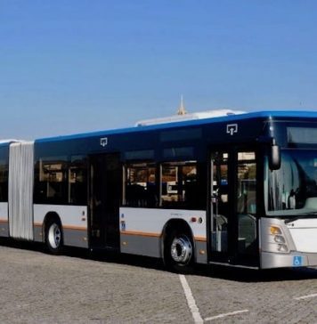 Passageiros queixam-se da falta de horários e de autocarros entre Mafra e Lisboa