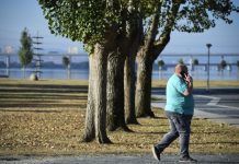 OCDE alerta que 92 milhões estão em risco de vida por causa de obesidade
