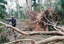 Municípios preocupados com demora nos apoios