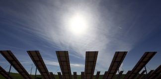EDP contrata venda de energia produzida em novo parque solar nos EUA