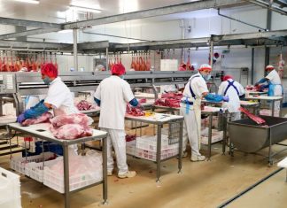 Matadouro português fecha venda de 100 contentores de carne de porco para a China