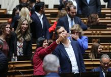 PAN propõe subcomissões parlamentares para as alterações climáticas e para a proteção animal