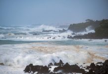 Governo Regional dos Açores destaca “regresso gradual à normalidade”