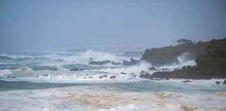 Governo Regional dos Açores destaca “regresso gradual à normalidade”