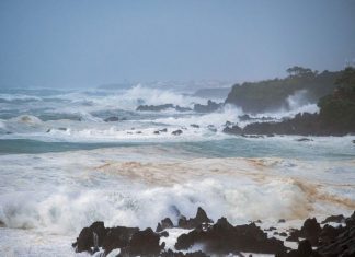 Governo Regional dos Açores destaca “regresso gradual à normalidade”