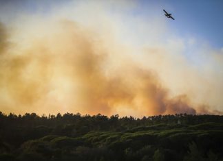 Arderam 37.357 hectares em Portugal, em 2018. Foi o maior registo na União Europeia