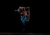 Festival Internacional de Dança Contemporânea junta sete criadores em Évora
