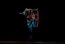 Festival Internacional de Dança Contemporânea junta sete criadores em Évora