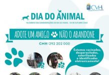 Dia do Animal – Autarquia reforça campanha de bem-estar animal