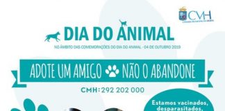 Dia do Animal – Autarquia reforça campanha de bem-estar animal