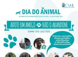 Dia do Animal – Autarquia reforça campanha de bem-estar animal