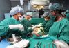 Lista de inscritos para cirurgia – Serviço Regional de Saúde aumenta atividade cirúrgica