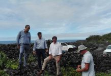 VITIS – Nova portaria é mais uma oportunidade para crescimento da vitivinicultura