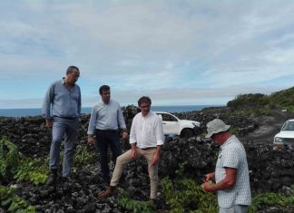 VITIS – Nova portaria é mais uma oportunidade para crescimento da vitivinicultura