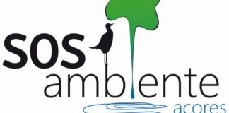 SOS Ambiente – Linha de atendimento regista 1500 chamadas