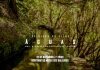Museu do Pico apresenta o filme “Águas”, de Luís Miguel Jardim