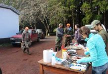 Governo dos Açores mantém vigilância a eventuais novos focos da doença hemorrágica viral nas populações de coelho-bravo