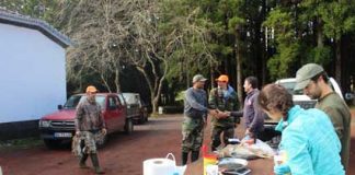 Governo dos Açores mantém vigilância a eventuais novos focos da doença hemorrágica viral nas populações de coelho-bravo