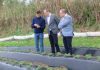 Diversificação agrícola nos Açores tem grande potencial para continuar a crescer, afirma João Ponte