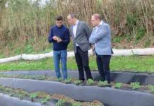 Diversificação agrícola nos Açores tem grande potencial para continuar a crescer, afirma João Ponte