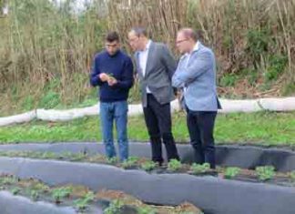 Diversificação agrícola nos Açores tem grande potencial para continuar a crescer, afirma João Ponte