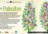 Museu de Angra do Heroísmo promove ateliê de palmitos
