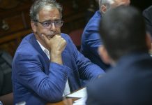 Deputados do PS/Açores realçam importância dos apoios do Governo para recuperação da vinha em Santa Maria