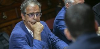 Deputados do PS/Açores realçam importância dos apoios do Governo para recuperação da vinha em Santa Maria