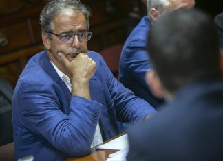 Deputados do PS/Açores realçam importância dos apoios do Governo para recuperação da vinha em Santa Maria