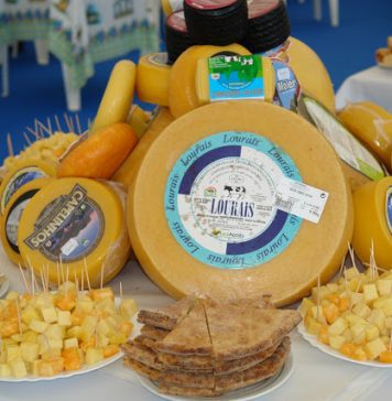 Concurso Queijos de Portugal 2026 – Federação Agrícola dos Açores felicita queijarias açorianas distinguidas 17.ª edição