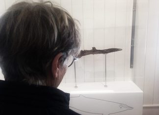 Dia Internacional dos Museus e Centros de Ciência – Fóssil com 6 milhões de anos integra exposição permanente da Fábrica da Baleia