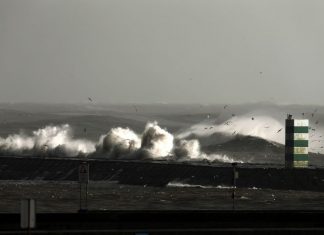 Vento forte a chegar aos 100 km/h. Oito distritos do continente sob aviso amarelo