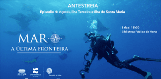 ANTESTREIA AÇORES