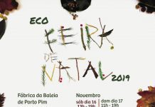 Eco Feira de Natal na Fábrica da Baleia de Porto Pim