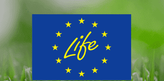 Diretor Regional do Ambiente defende discriminação positiva das Regiões Ultraperiféricas no âmbito do programa LIFE