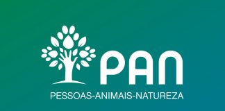 PAN propõe taxa de carbono sobre voos e viagens marítimo-fluviais DR