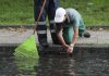 Quedas de árvores e inundações. Mais de 60 ocorrências em todo país por causa da chuva forte