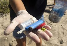 Mais de duas mil toneladas de plástico recolhidas das praias durante o verão